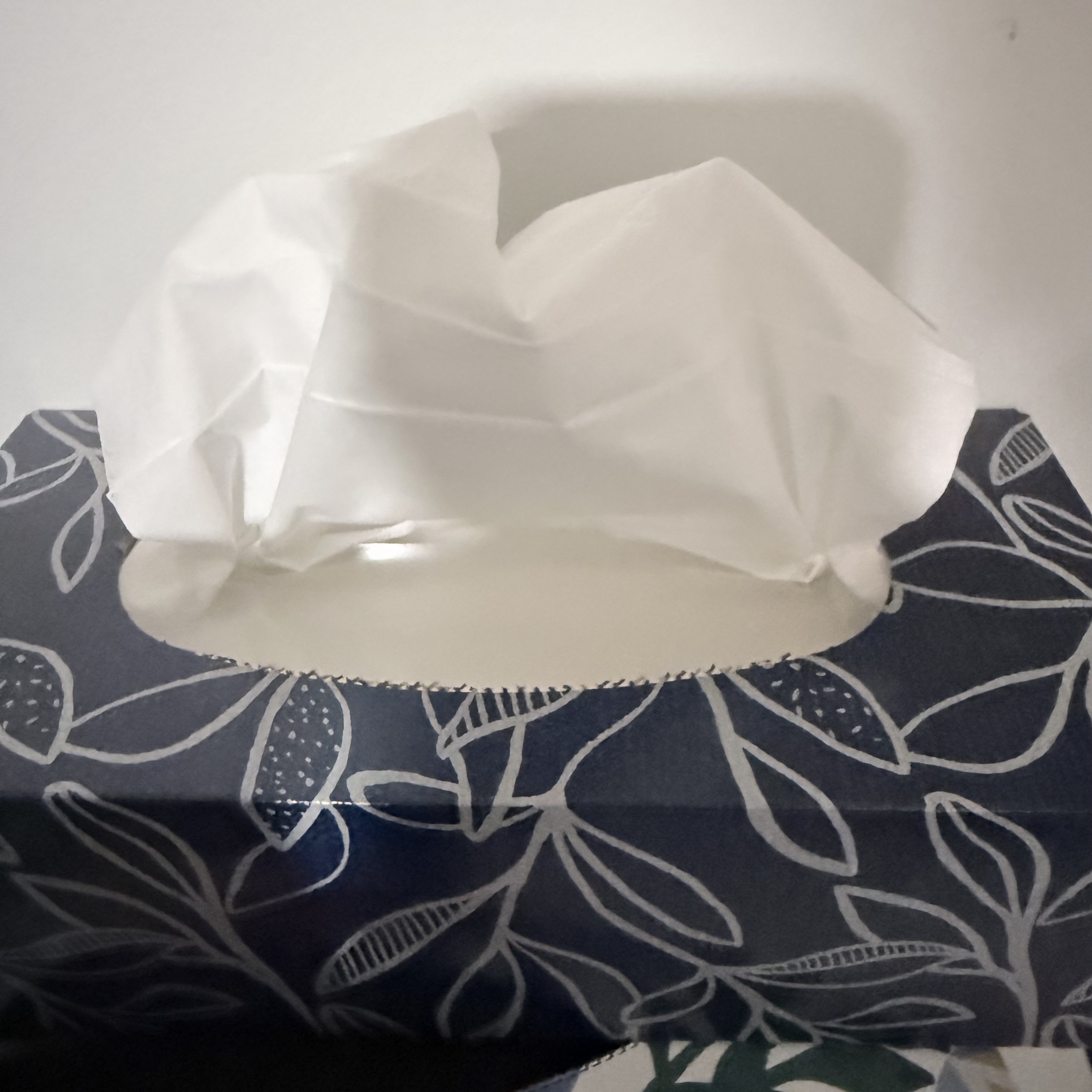 description:This is one of the sounds from the twenty-five items I was looking for.<br><audio controls src='audio/14.m4a'></audio>