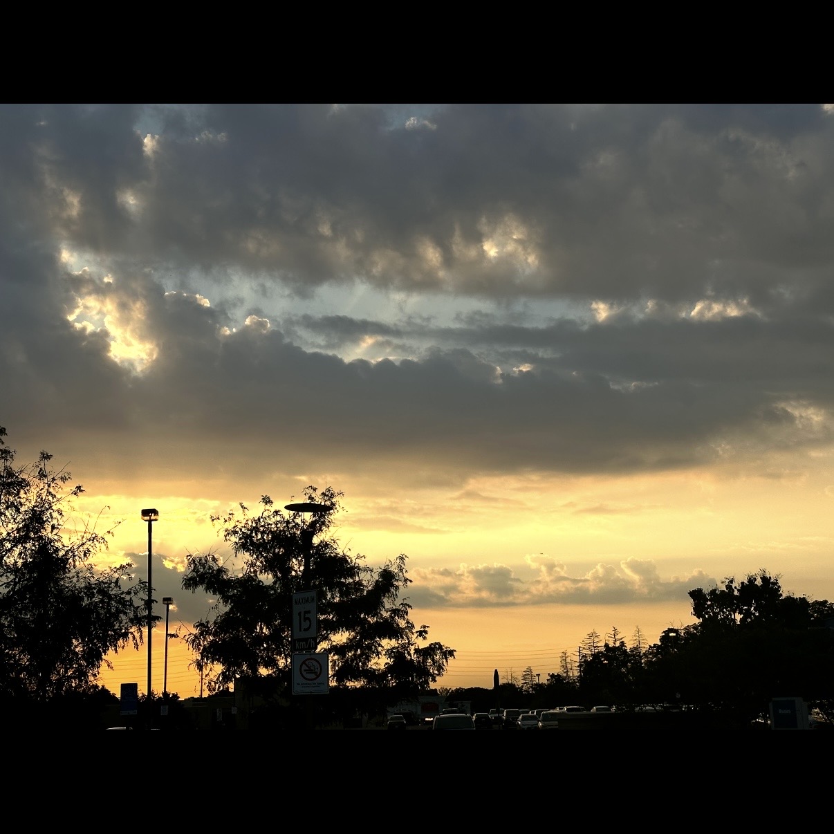 This is a photo I took in Richmond Hill.