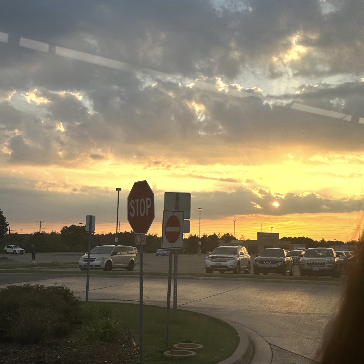 This is a photo I took in Richmond Hill.