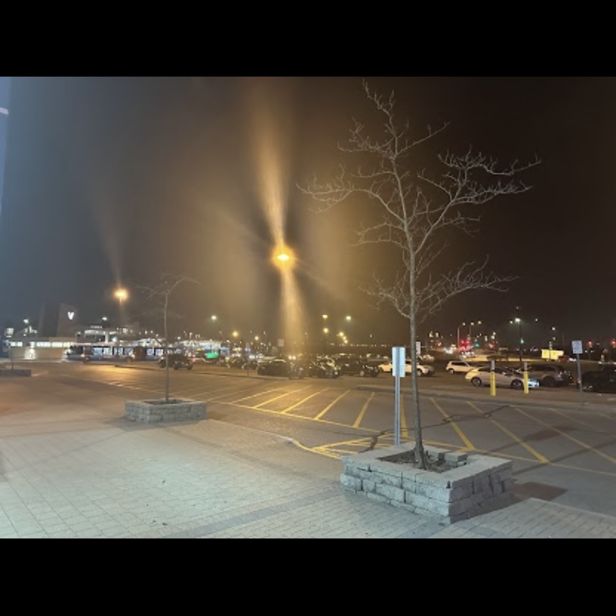 This is a photo I took in Richmond Hill.