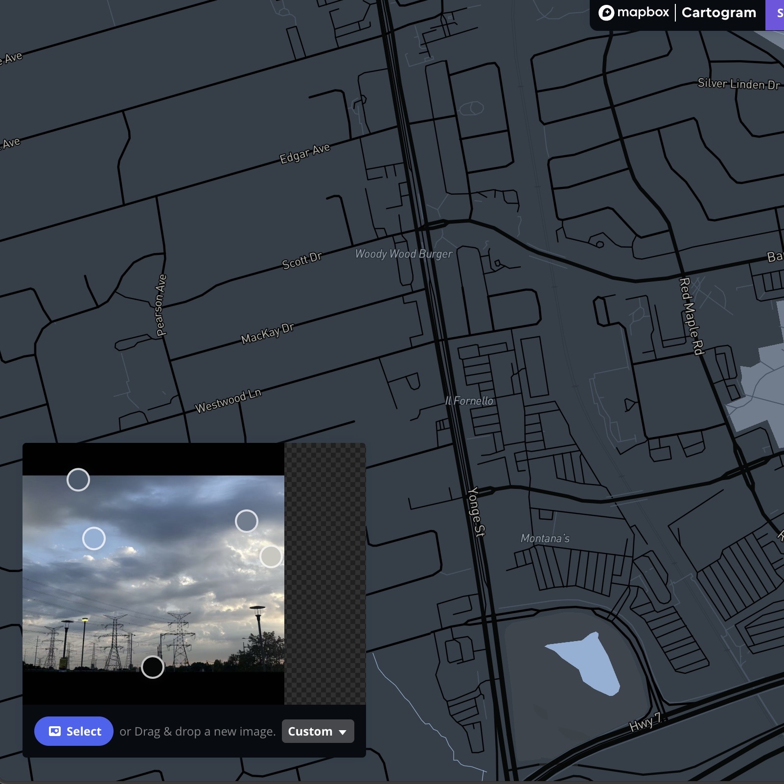 This is the result after I imported the photo using the Cartogram Mapbox.