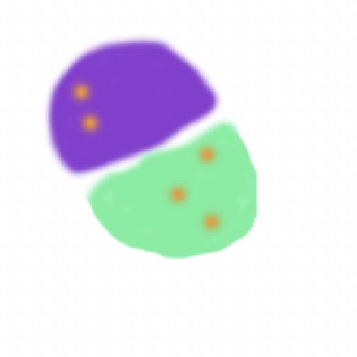 My process of exploring the website..