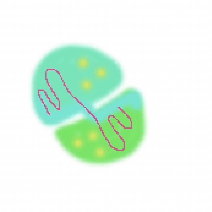 My exploration of the process of hanging medals.